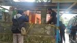 2 Buaya Ini Dipelihara di Dalam Rumah Lho