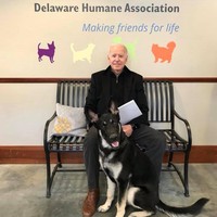 Seperti diberitakan sebelumnya, Joe Biden terpeleset dan pergelangan kakinya terkilir pada Sabtu (28/11/2020) saat dia bermain dengan Major, salah satu dari dua anjing jenis German Shepard miliknya. Dokter Kevin OConnor yang menanganinya, mengatakan Biden didiagnosis mengalami keseleo di kaki kanannya tetapi perlu pemeriksaan lebih lanjut. Rontgen awal meyakinkan bahwa tidak ada patah tulang yang jelas dan dia akan mendapatkan CT tambahan untuk pencitraan yang lebih rinci, kata OConnor dalam sebuah pernyataan, dikutip dari The Hill. (Foto: Facebook Delaware Humane Association)