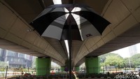Taman tersebut dibuat sejak tahun November 2019.