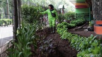 Selain itu untuk mengurangi para pemulung yang sering bersinggah.