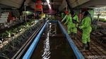 Bagus Kan! Ini di Kolong Flyover Kemayoran Lho