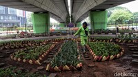 Tetapi saat ini taman tersebut belum boleh dimasukin oleh warga umum karena masih dalam tahap perawatan.