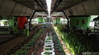 Petugas taman dari Sekretariat Negara melakukan perawatan di taman kawasan Rumah Hijau, Kemayoran, Jakarta Pusat, Senin (9/11).