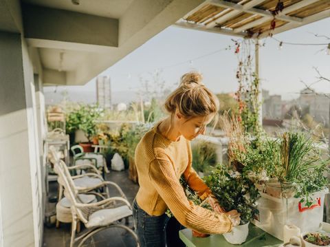 Photo of young woman taking care of her plants on a rooftop garden