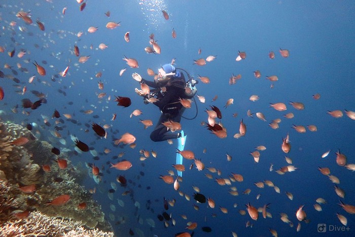 Cagar Biosfir Bunaken Tangkoko Minahasa Bunaken Tangkoko Minahasa