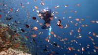 Cagar Biosfir Bunaken Tangkoko Minahasa. Sebagai cagar biosfir, keseluruhan unsur alamnya dilindungi dan dilestarikan demi kepentingan penelitian dan pendidikan.
