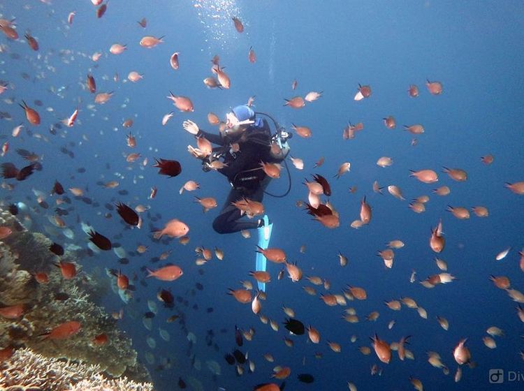 5 Destinasi Wisata di Manado Kampung Halaman Greysia Polii