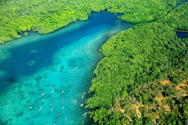 Cagar biosfir Karimunjawa. Cagar biosfer sangat penting dalam melestarikan keanekaragaman hayati di wilayah tengah pulau Jawa. Cagar biosfir Karimunjawa. Cagar biosfer sangat penting dalam melestarikan keanekaragaman hayati di wilayah tengah pulau Jawa.
