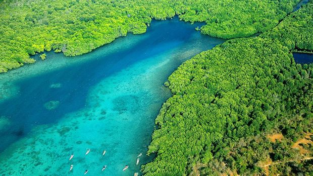 Karimunjawa-Jepara-Muria Biosphere Reserve