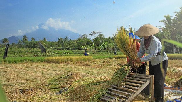 Cagar biosfir Merapi Merbabu Menoreh