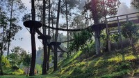 Cagar Merapi Merbabu Menoreh merupakan ekosistem hutan pegunungan yang menjadi rumah bagi flora dan fauna khas Jawa. Terletak di Jawa Tengah, di wilayah Indo-Malaya.
