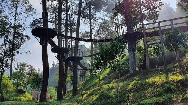 Cagar biosfir Merapi Merbabu Menoreh