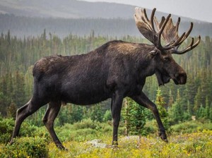 Di Hutan hingga Luar Angkasa, Ini 5 Peternakan dan Perkebunan yang Tak Biasa