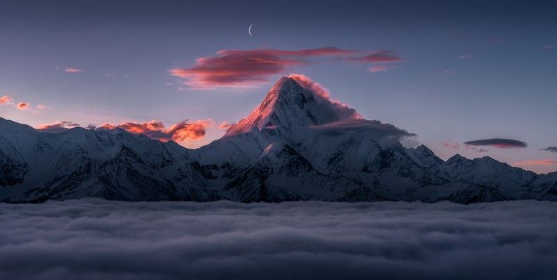 International Photography Awards 2020
