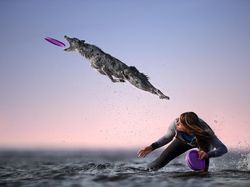 Karya Memukau Para Jawara International Photography Awards 2020