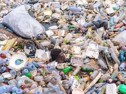 Karya Memukau Para Jawara International Photography Awards 2020