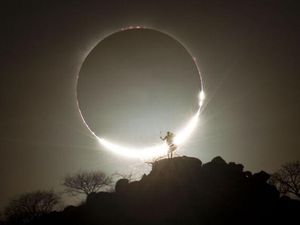 Karya Memukau Para Jawara International Photography Awards 2020
