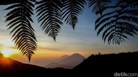 Gunung dengan ketinggian 2.565 mdpl ini menjadi rekomendasi untuk pendaki pemula.
