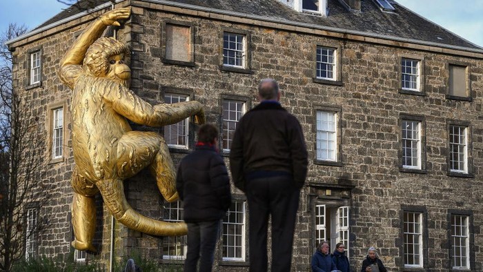 EDINBURGH, SCOTLAND - NOVEMBER 04: Members of the public view a 45ft tall giant golden monkey on the side of Inverleith house on November 04, 2020 in Edinburgh, Scotland. The inflatable Golden Monkey installation, by Australian ecological artist Lisa Roet, has previously adorned scaled skyscrapers in Beijing and Hong Kong. (Photo by Jeff J Mitchell/Getty Images)