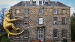 Potret Monyet Emas Hinggap di Edinburgh