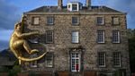 Potret Monyet Emas Hinggap di Edinburgh