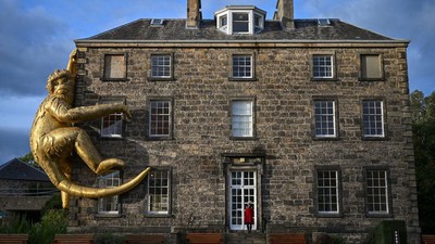 Potret Monyet Emas Hinggap di Edinburgh