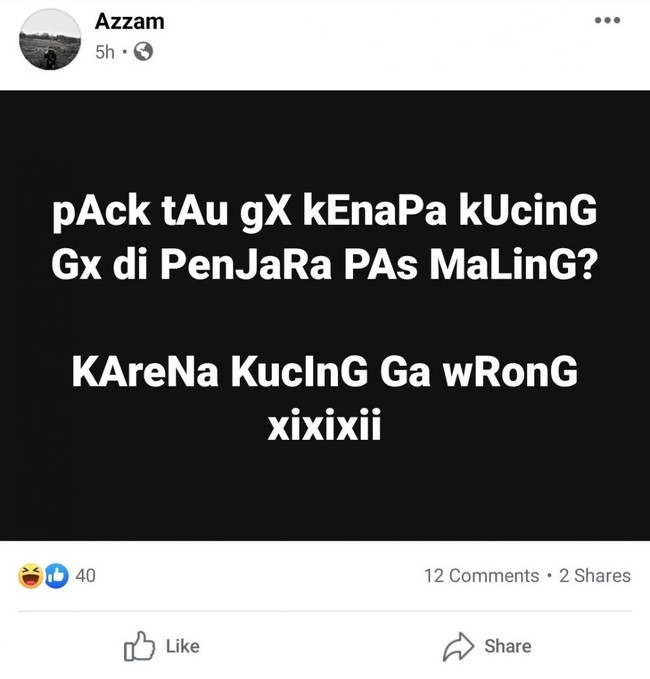 Baiklah kucing ga wrong nggak pernah salah. Sebelas dua belas sama cewek dong ya kalau gitu? Foto: Facebook/Menjadi Bapak Bapak: Bagian Pengantar