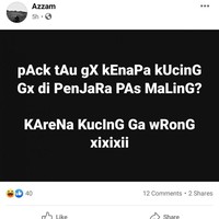 Baiklah kucing ga wrong nggak pernah salah. Sebelas dua belas sama cewek dong ya kalau gitu? Foto: Facebook/Menjadi Bapak Bapak: Bagian Pengantar