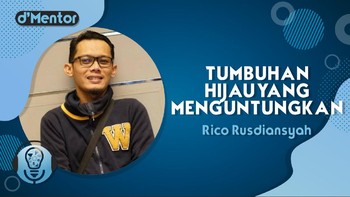 Panen Cuan Bisnis Tanaman Hias