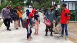 Warga dan Hewan Peliharaan di Lereng Merapi Dievakuasi