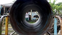 Warga mengevakuasi hewan ternak sapi perah dan sapi pedaging di Dusun Kalitengah Lor, Cangkringan, Sleman, Yogyakarta, Senin (9/11/2020). Pius Erlangga/detikcom.