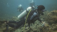 Sejumlah penyelam mengumpulkan sampah plastik yang ditemukan di perairan Pulau Haruku, Maluku.