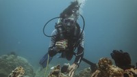 Penyelam dari komunitas Tunas Bahari Maluku melakukan aksi bersih sampah plastik di perairan Pulau Haruku, Maluku, Selasa (10/11/2020).
