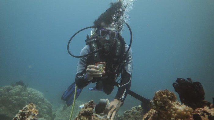 Sejumlah penyelam dari komunitas Tunas Bahari Maluku gelar kegiatan bersih-bersih sampah di laut. Hal itu dilakukan dalam rangka memperingati Hari Pahlawan.