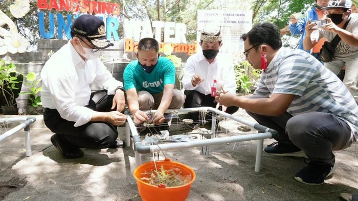Bupati Anas