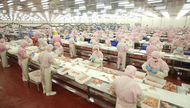 Daging Burger McDonald's dan Burger King Dipasok Oleh Perusahaan yang Sama