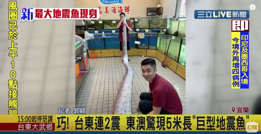 Disebut Mirip Alien, Ikan Seberat 45 Kg Ini Harganya Rp 7,8 Juta
