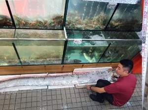 Disebut Mirip Alien, Ikan Seberat 45 Kg Ini Harganya Rp 7,8 Juta