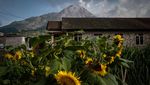 Potensi Bahaya Erupsi Gunung Merapi di Kali Gendol