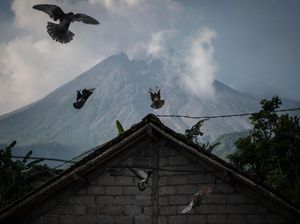 Potensi Bahaya Erupsi Gunung Merapi di Kali Gendol