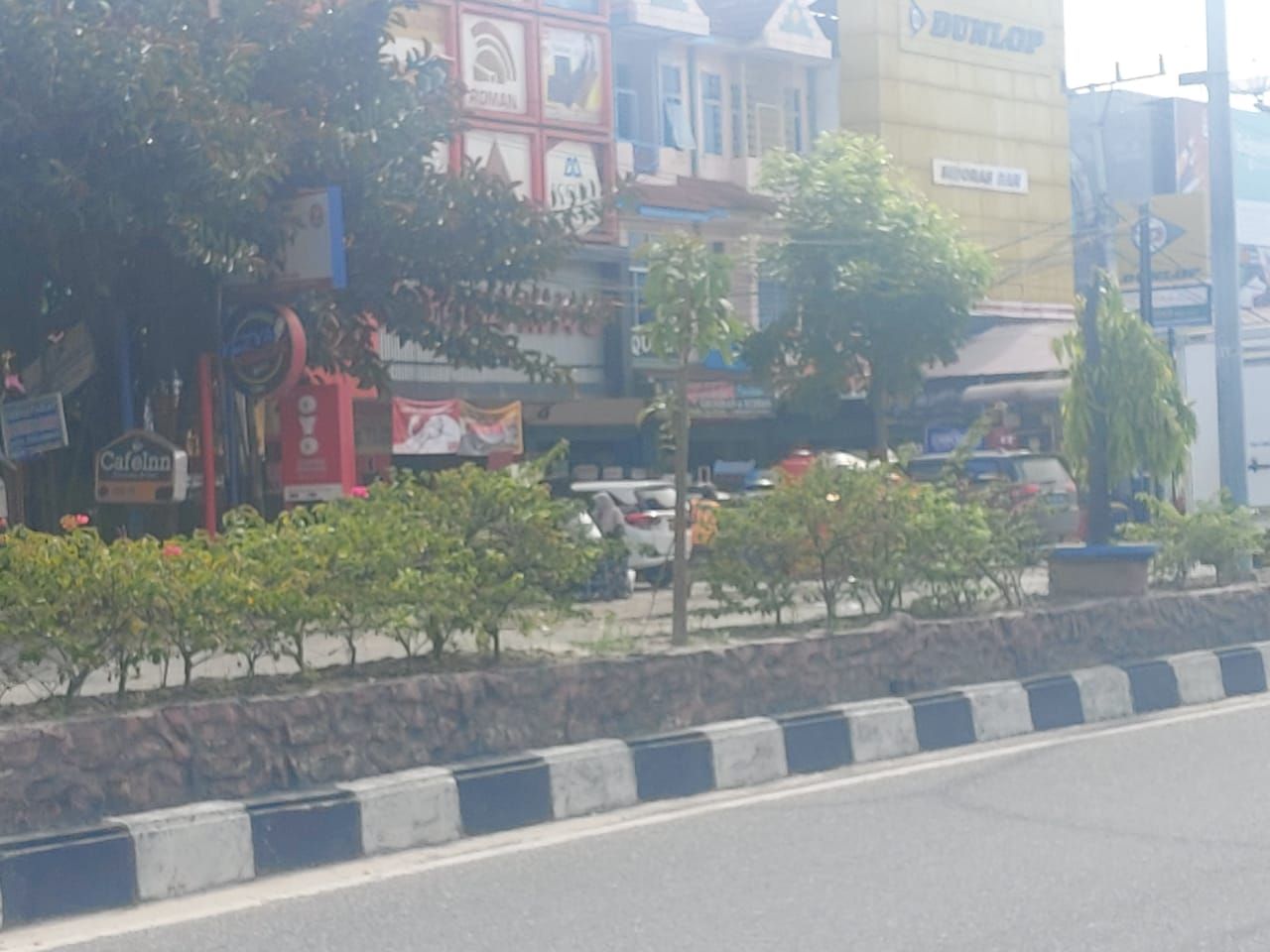 Kondisi ke-83 pohon yang ditebang tanpa izin di Jalanan Pekanbaru