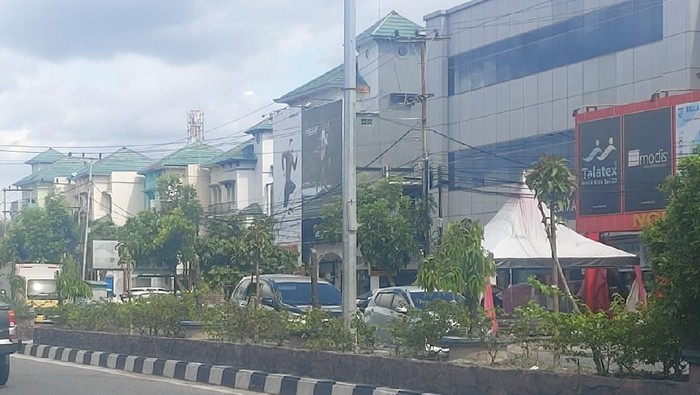 Kondisi ke-83 pohon yang ditebang tanpa izin di Jalanan Pekanbaru