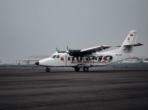 Luhut Minta Kandungan Lokal Pesawat N219 Naik Jadi 70%