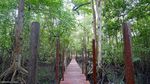 Foto: Terpesona Wisata Bahari Muara Badak Kukar
