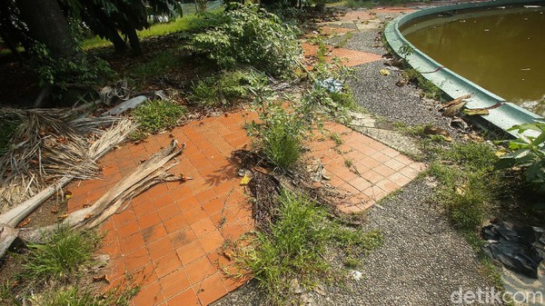 Melihat kondisi tersebut, detikTravel menghubungi Badan Pengelola Aset Daerah (BPAD) DKI Jakarta sebagai pemilik dari taman tersebut. Menurut BPAD, taman ini sedang dalam proses untuk dikembangkan melalui pembangunan taman buku.