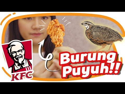 Momen Masak Anti Mainstream Edho Zell