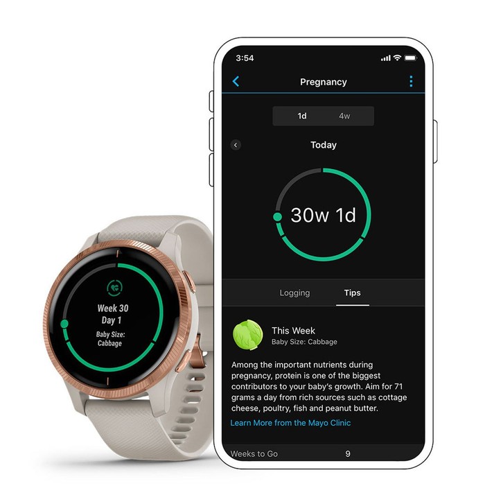 jam pintar garmin kehamilan