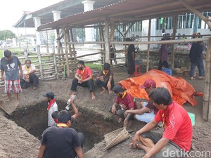 Kebo Bule Keramat Keraton Solo yang Mati akan Dikubur Pakai Kain Kafan