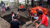 Srati atau pawang kawanan kerbau bule keturunan kerbau Kyai Slamet, Heri Sulistyo, mengatakan kerbau tersebut adalah yang tertua di Keraton Surakarta di Solo. Kerbau bernama Manis Sepuh itu mati pagi tadi.
