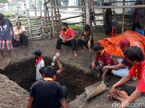 Saat Kerbau Bule Keramat Keraton Solo Mati dan Dikafani